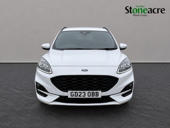 Used Ford Kuga 2023 for sale - 79211927: Photo