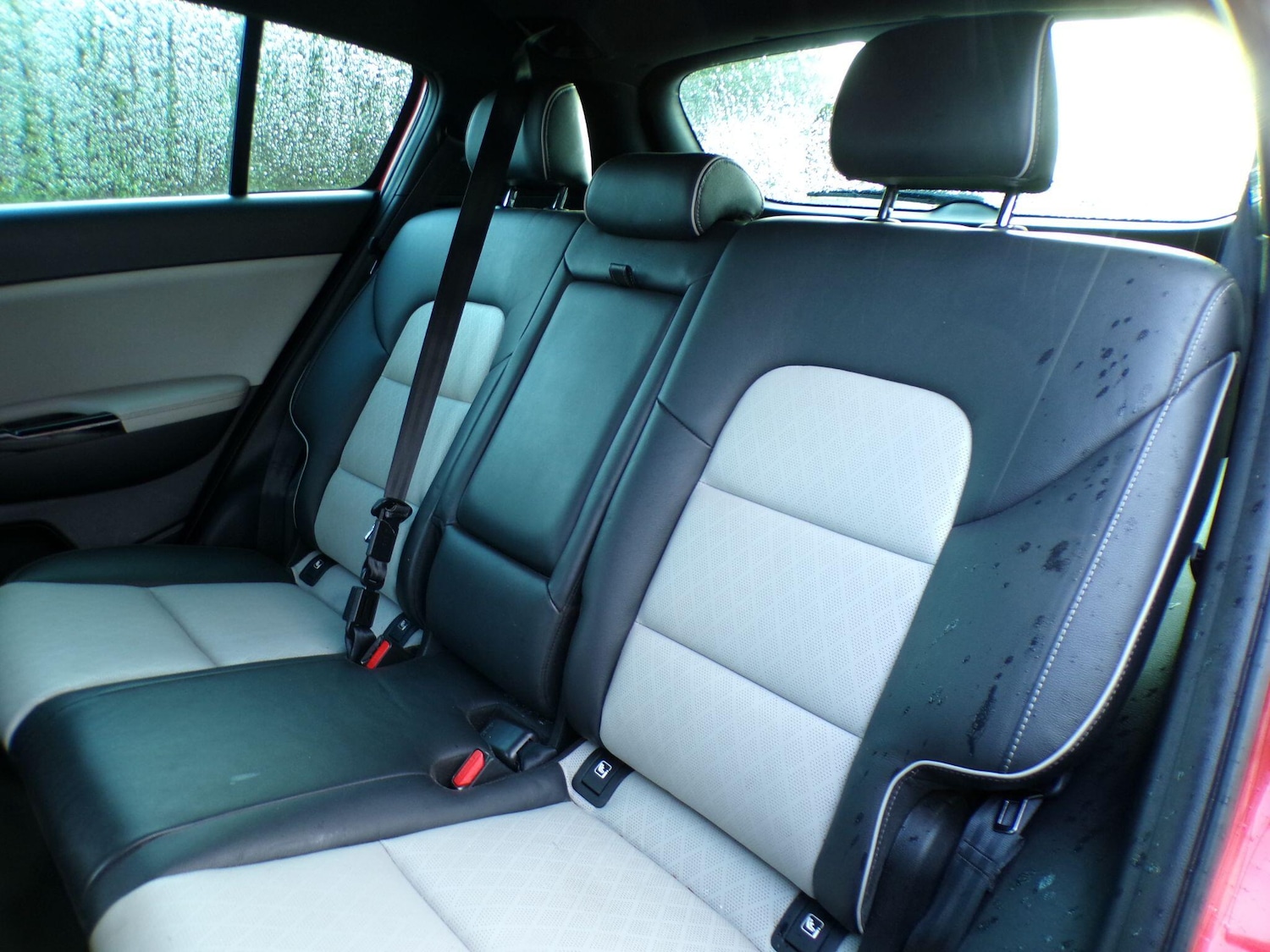 Used Kia Sportage for sale - 77021066: Photo 16