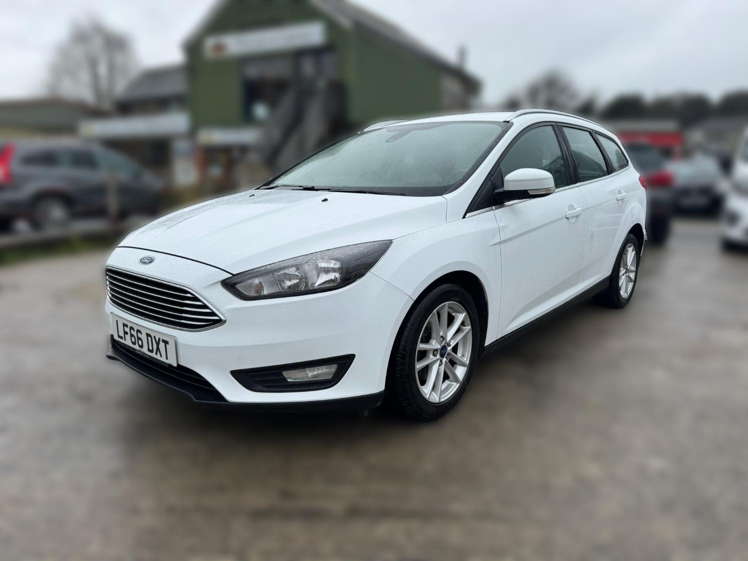 Used Ford Focus 2016 for sale - 77850556: Photo 3