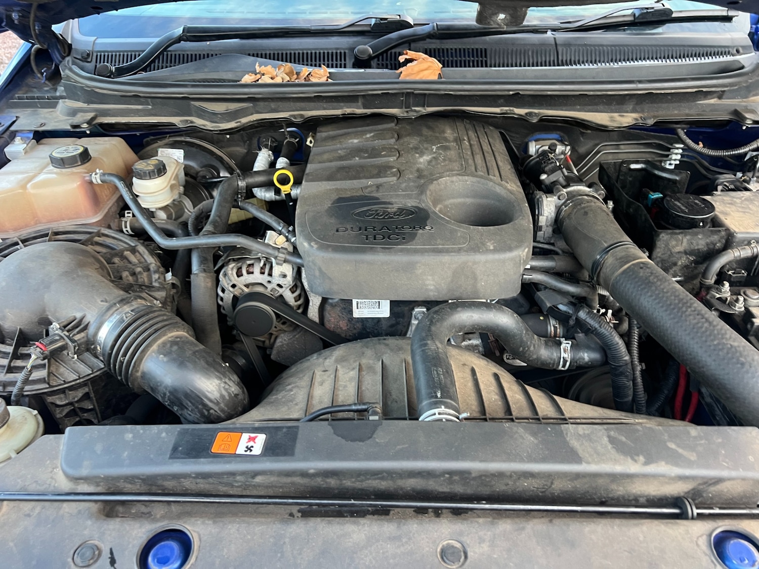 Used Ford Ranger 2014 for sale - 76567882: Photo 14