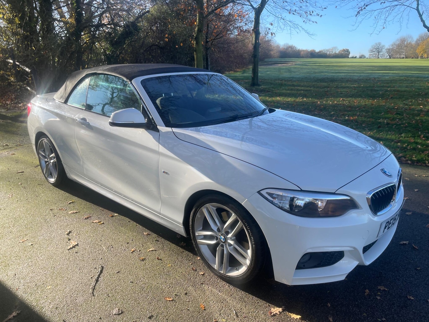 Used BMW 2 Series 2015 for sale - 76801556: Photo 1