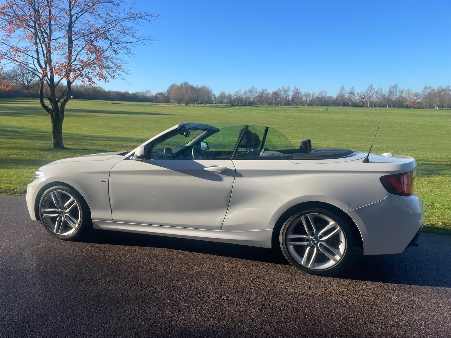 Used BMW 2 Series 2015 for sale - 76801556: Photo 17