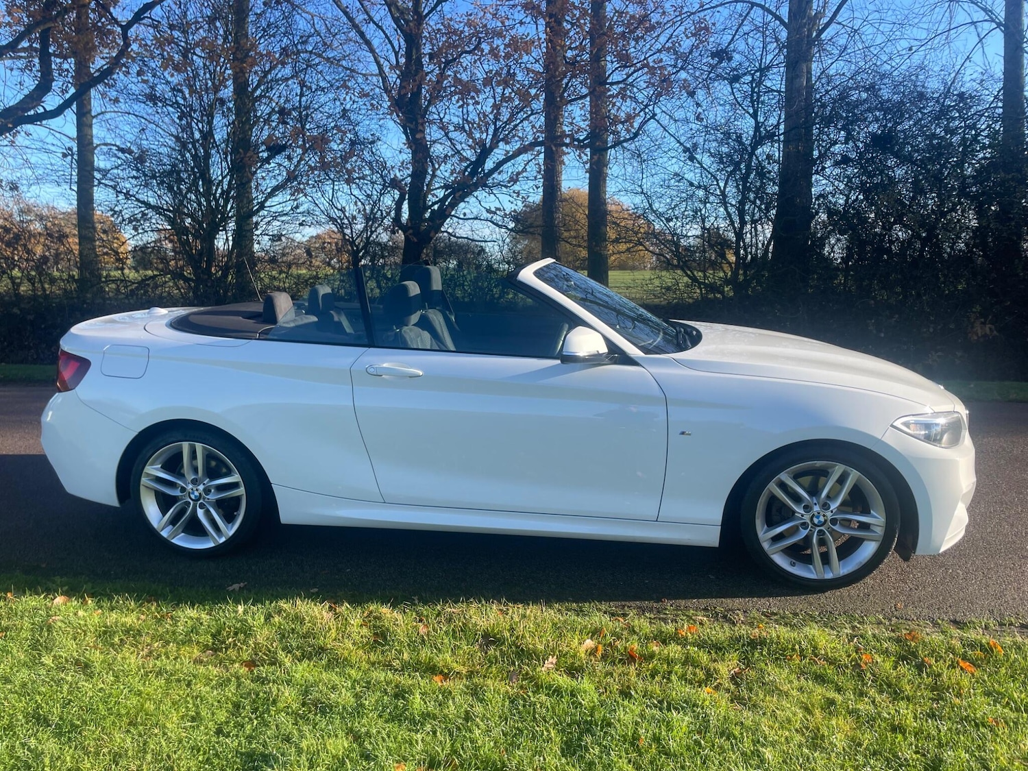 Used BMW 2 Series 2015 for sale - 76801556: Photo 24