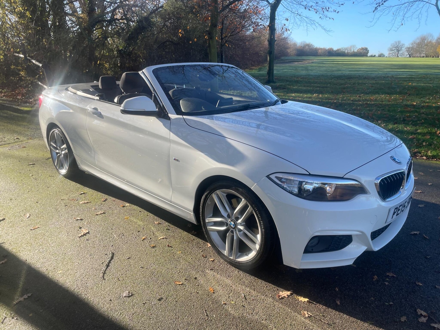 Used BMW 2 Series 2015 for sale - 76801556: Photo 5
