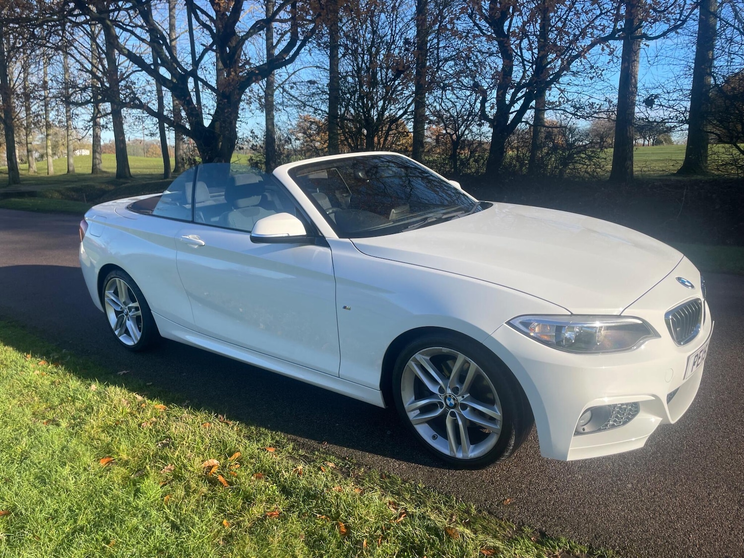 Used BMW 2 Series 2015 for sale - 76801556: Photo 9