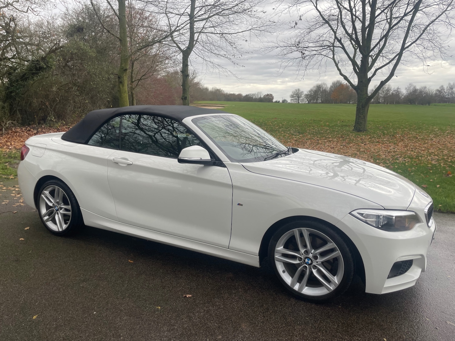 Used BMW 2 Series 2015 for sale - 77062131: Photo 3