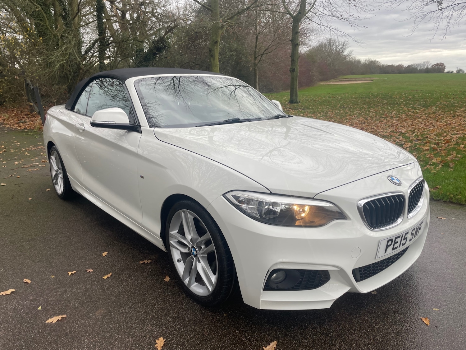 Used BMW 2 Series 2015 for sale - 77062131: Photo 32