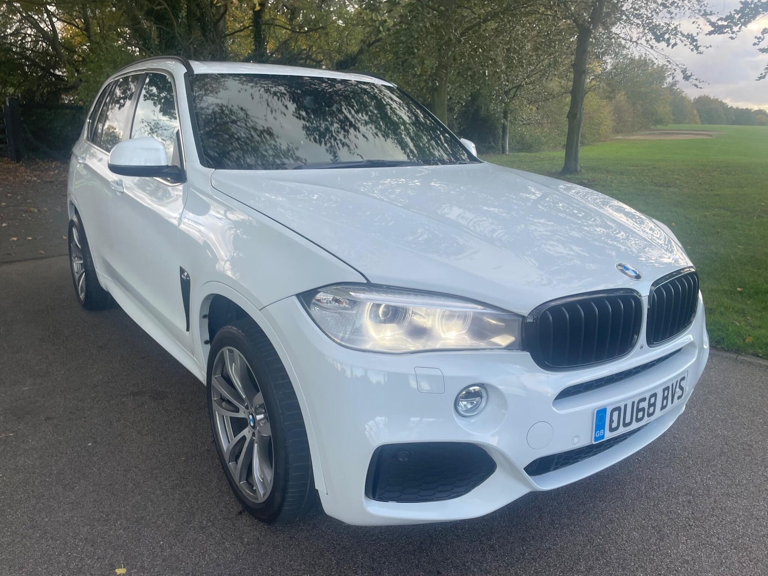 Used BMW X5 2019 for sale - 76370663: Photo 3