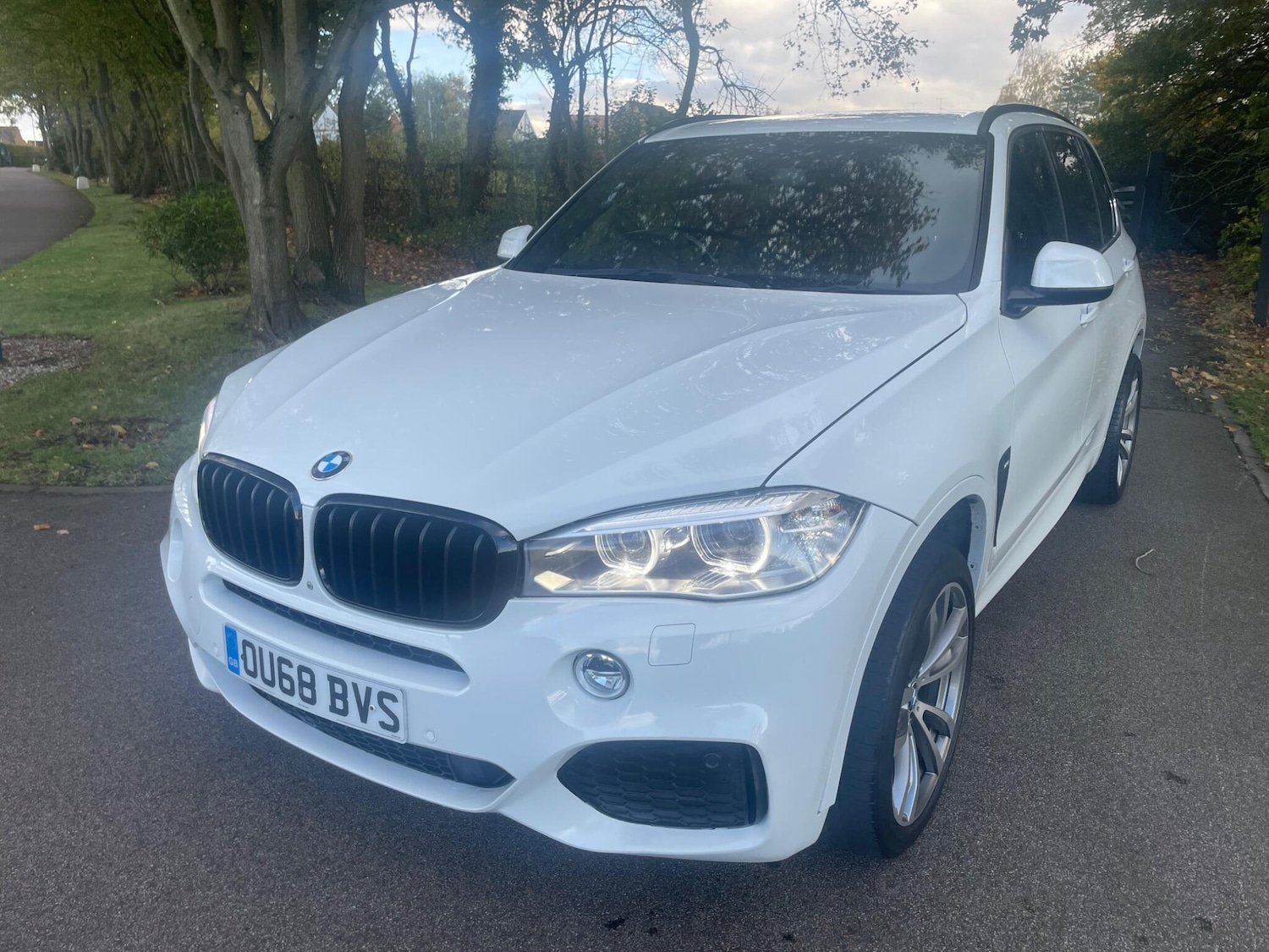 Used BMW X5 2019 for sale - 76370663: Photo 7