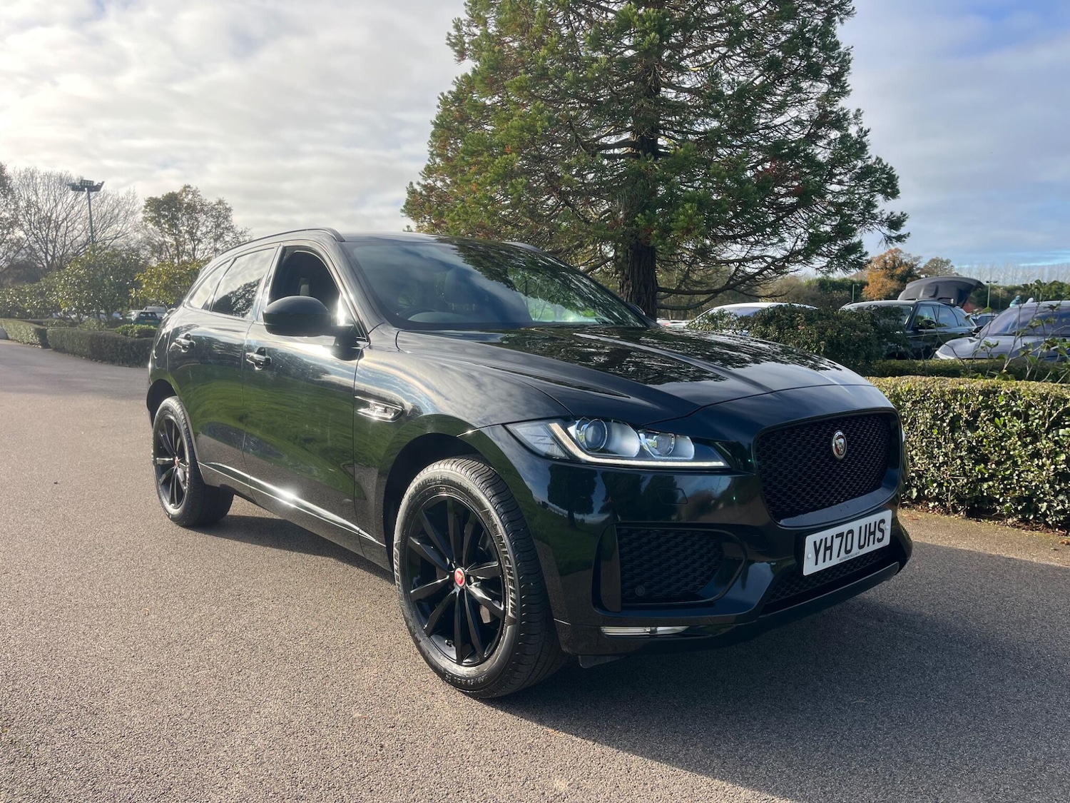 Used Jaguar F-Pace 2020 for sale - 76645912: Photo 1