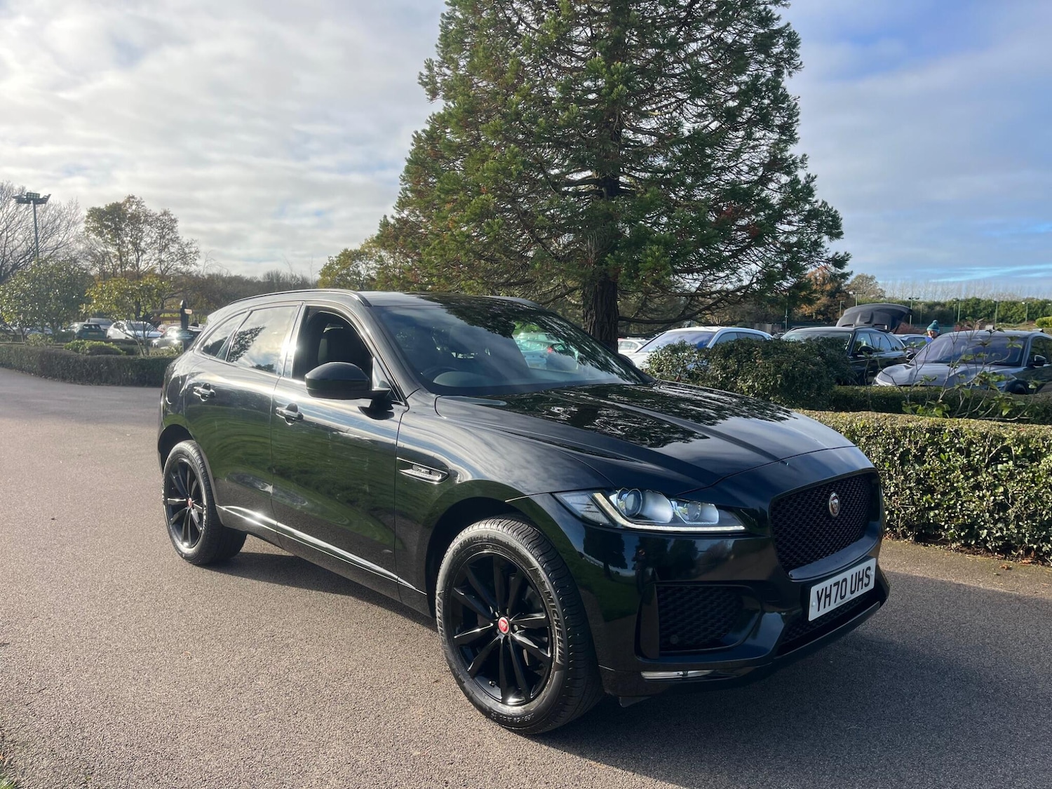 Used Jaguar F-Pace 2020 for sale - 76645912: Photo 3