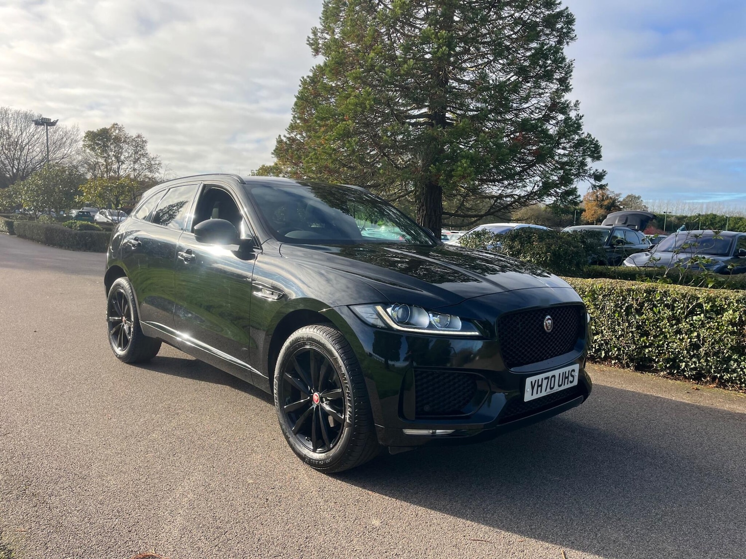 Used Jaguar F-Pace 2020 for sale - 76645912: Photo 7