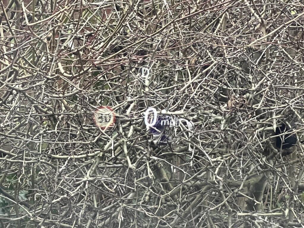 Used Land Rover Defender 110 2024 for sale - 77370929: Photo 40