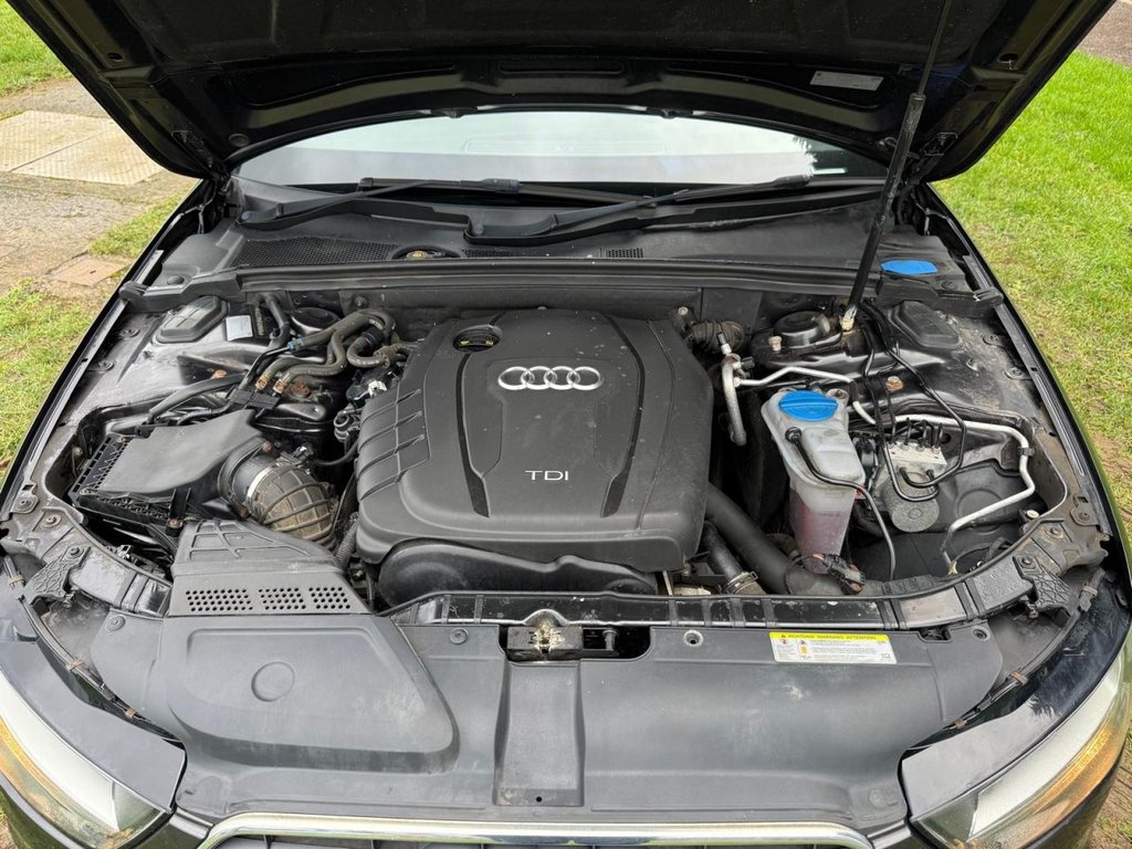 Used Audi A4 2015 for sale - 77370100: Photo 10