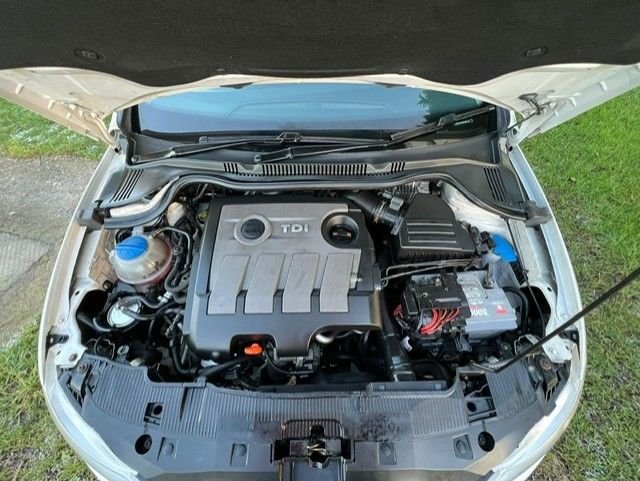 Used SEAT Ibiza 2010 for sale - 76495959: Photo 11