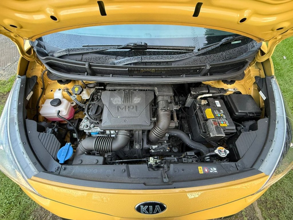 Used Kia Picanto 2021 for sale - 76396105: Photo 9