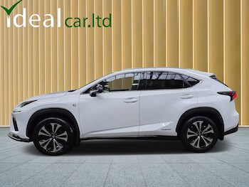 Used Lexus NX 2018 for sale - 77191914: Photo