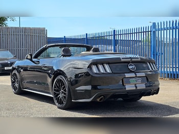 Used Ford Mustang 2016 for sale - 78759408: Photo