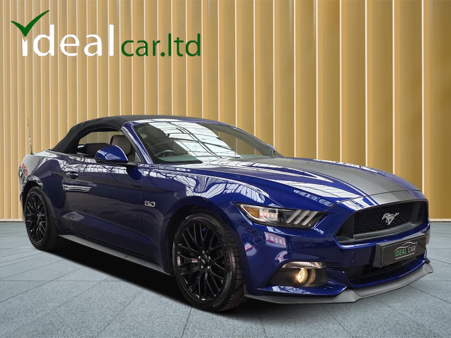 Used Ford Mustang 2016 for sale - 77898320: Photo 5