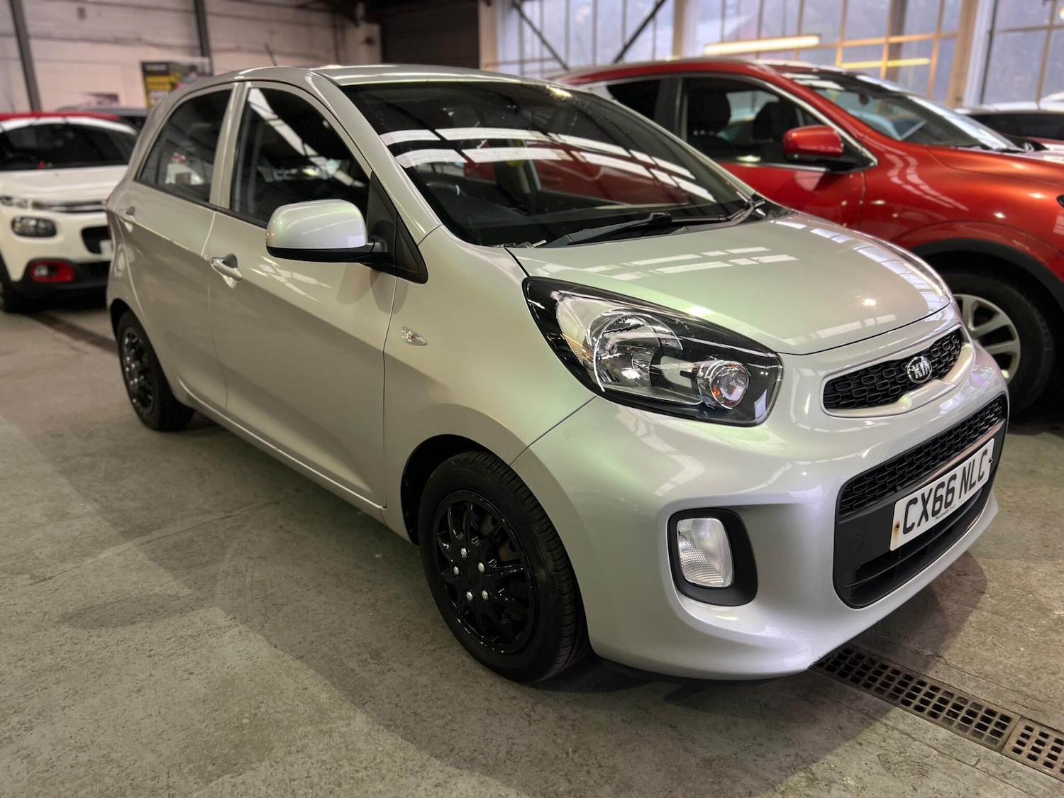 Used Kia Picanto for sale - 77484496: Photo 19