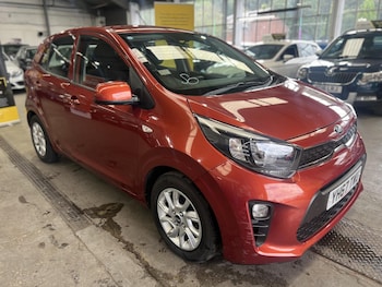 Used Kia Picanto 2017 for sale - 79075348: Photo