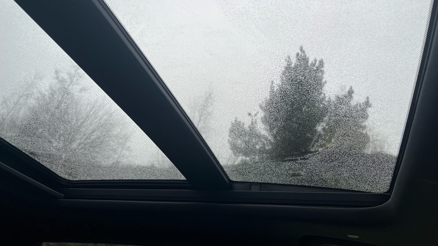 Used Honda CR-V 2024 for sale - 77258749: Photo 38