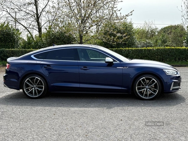 Used Audi A5 2017 for sale - 74466377: Photo 3