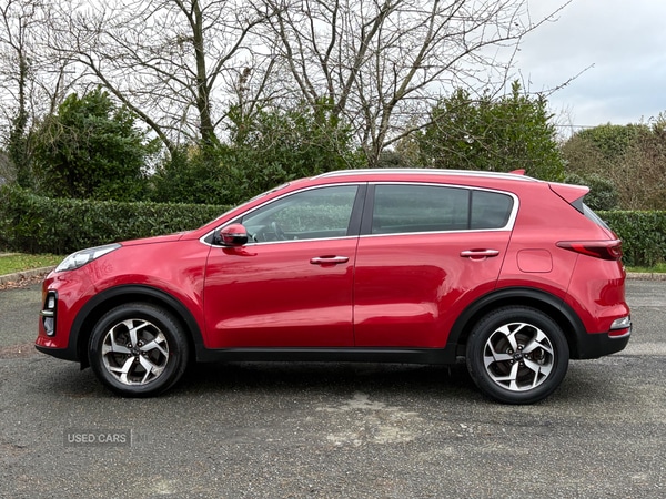 Used Kia Sportage 2019 for sale - 77840169: Photo 5