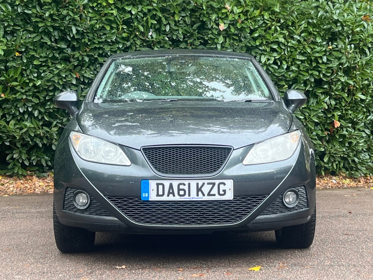 Used SEAT Ibiza 2011 for sale - 77008374: Photo 2
