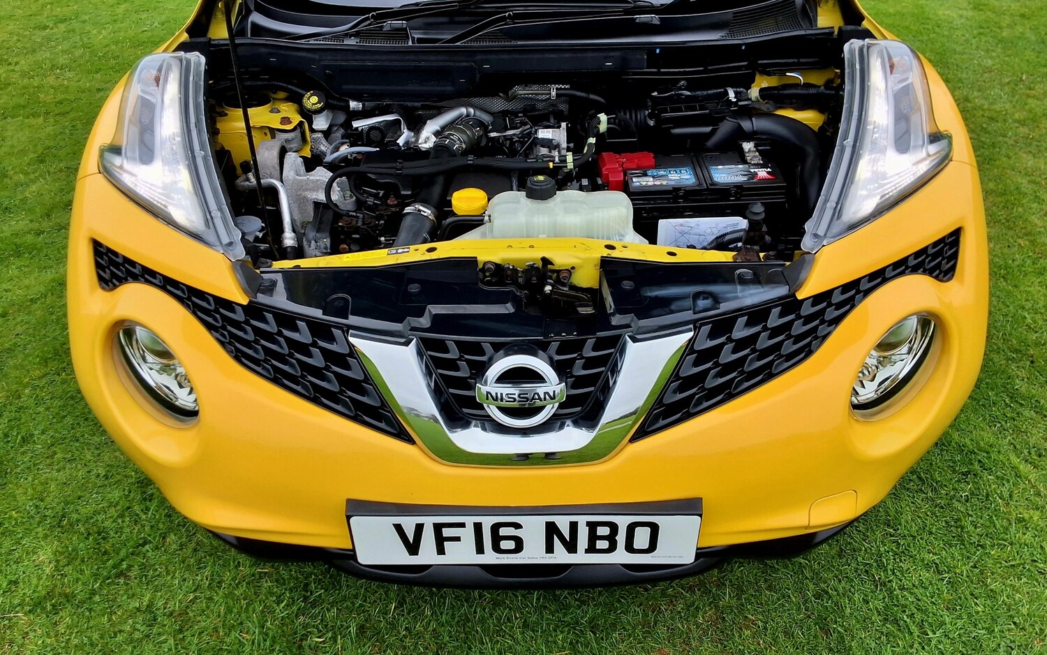 Used Nissan Juke 2016 for sale - 76244164: Photo 26