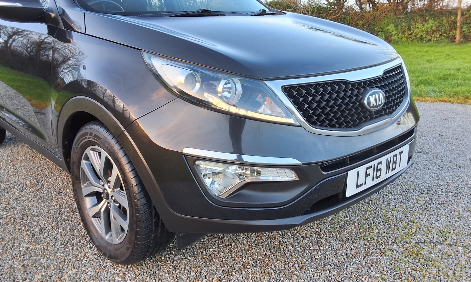 Used Kia Sportage 2016 for sale - 77296606: Photo 10