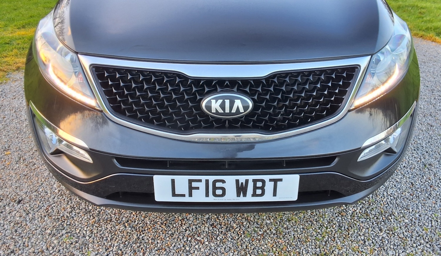 Used Kia Sportage 2016 for sale - 77296606: Photo 11