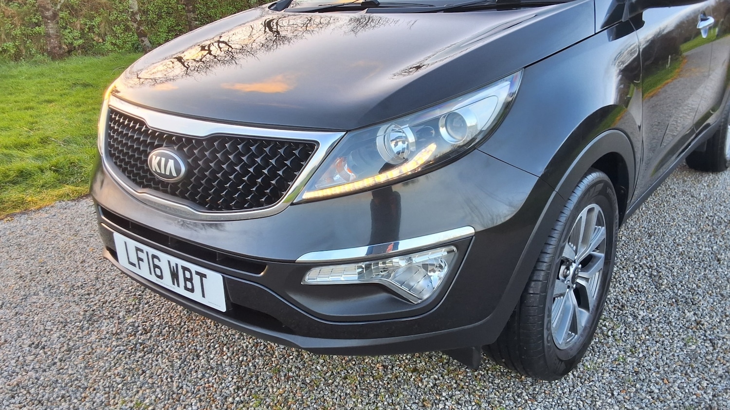 Used Kia Sportage 2016 for sale - 77296606: Photo 12