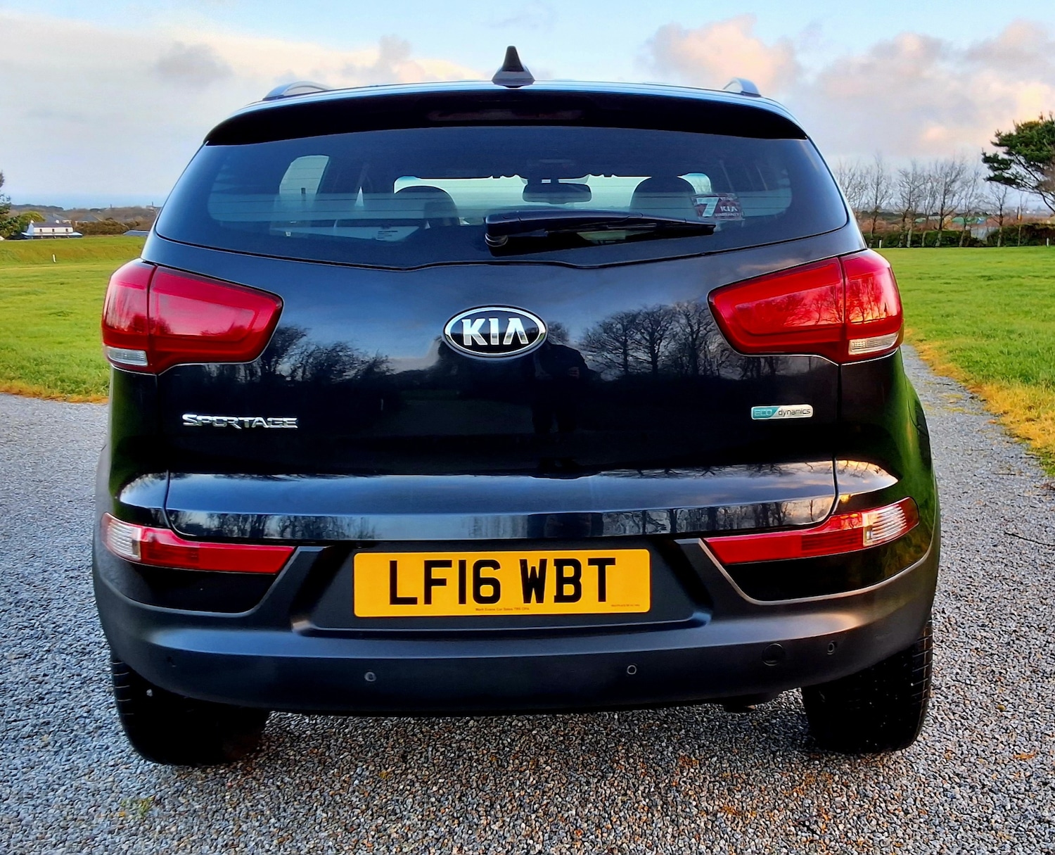 Used Kia Sportage 2016 for sale - 77296606: Photo 6