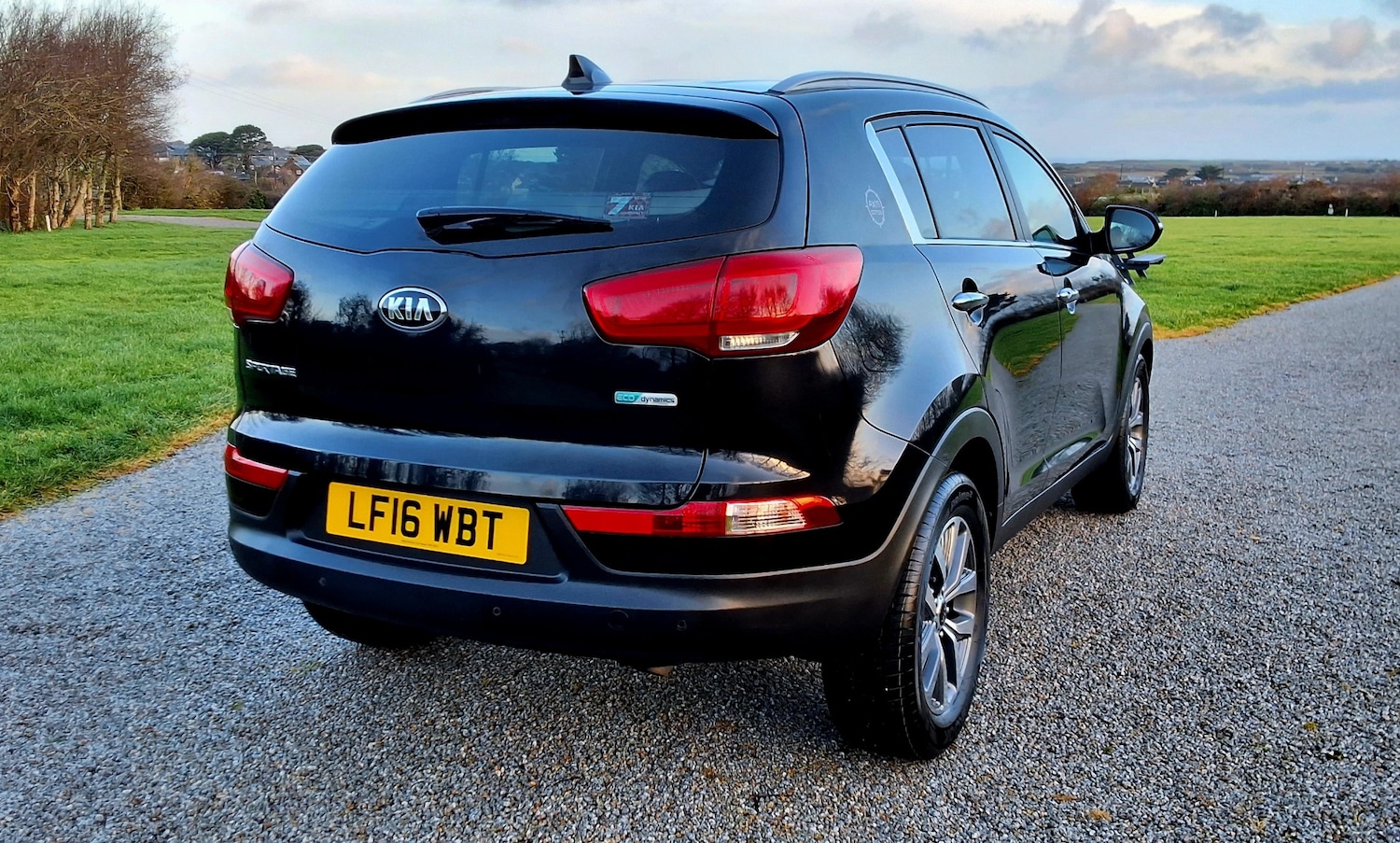 Used Kia Sportage 2016 for sale - 77296606: Photo 9