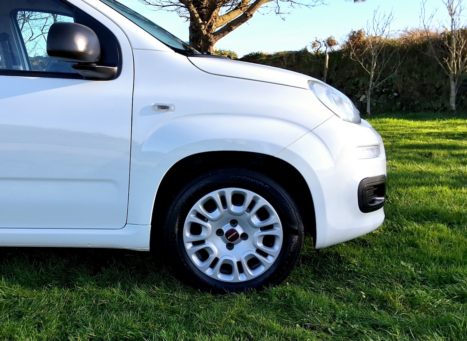 Used Fiat Panda 2014 for sale - 77079277: Photo 11