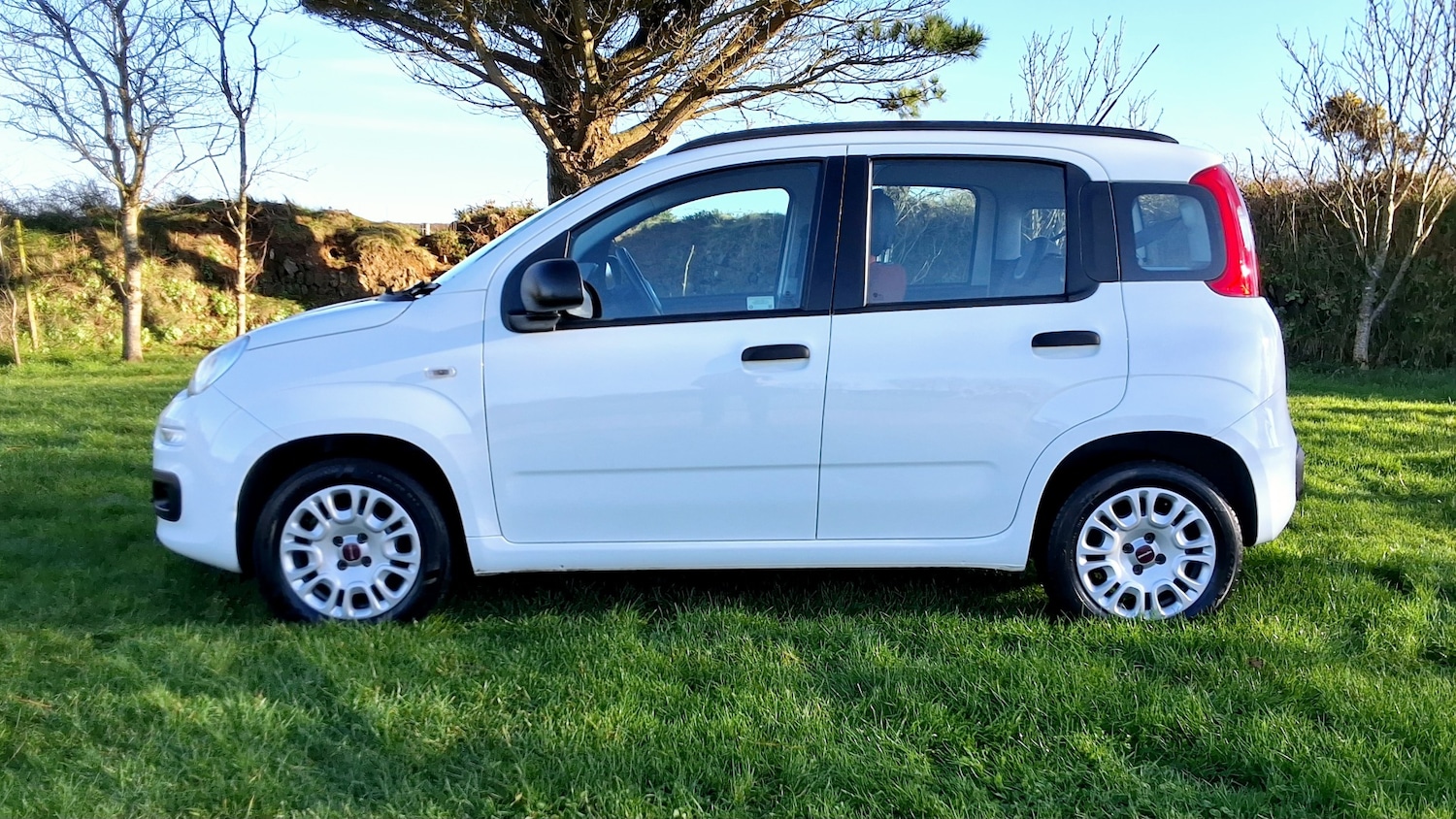 Used Fiat Panda 2014 for sale - 77079277: Photo 3