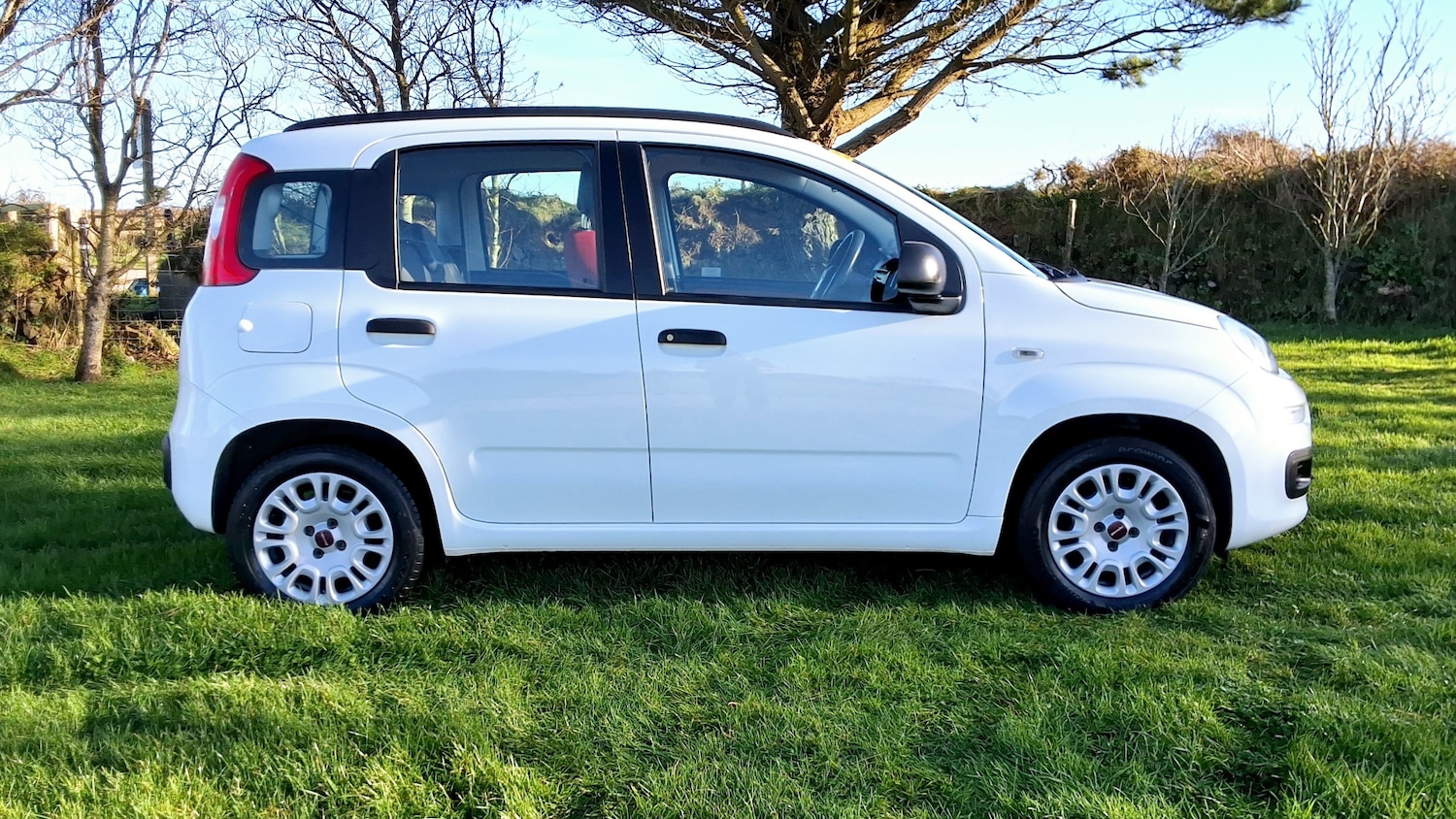Used Fiat Panda 2014 for sale - 77079277: Photo 4