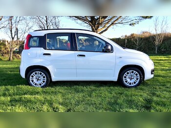 Used Fiat Panda 2014 for sale - 77079277: Photo