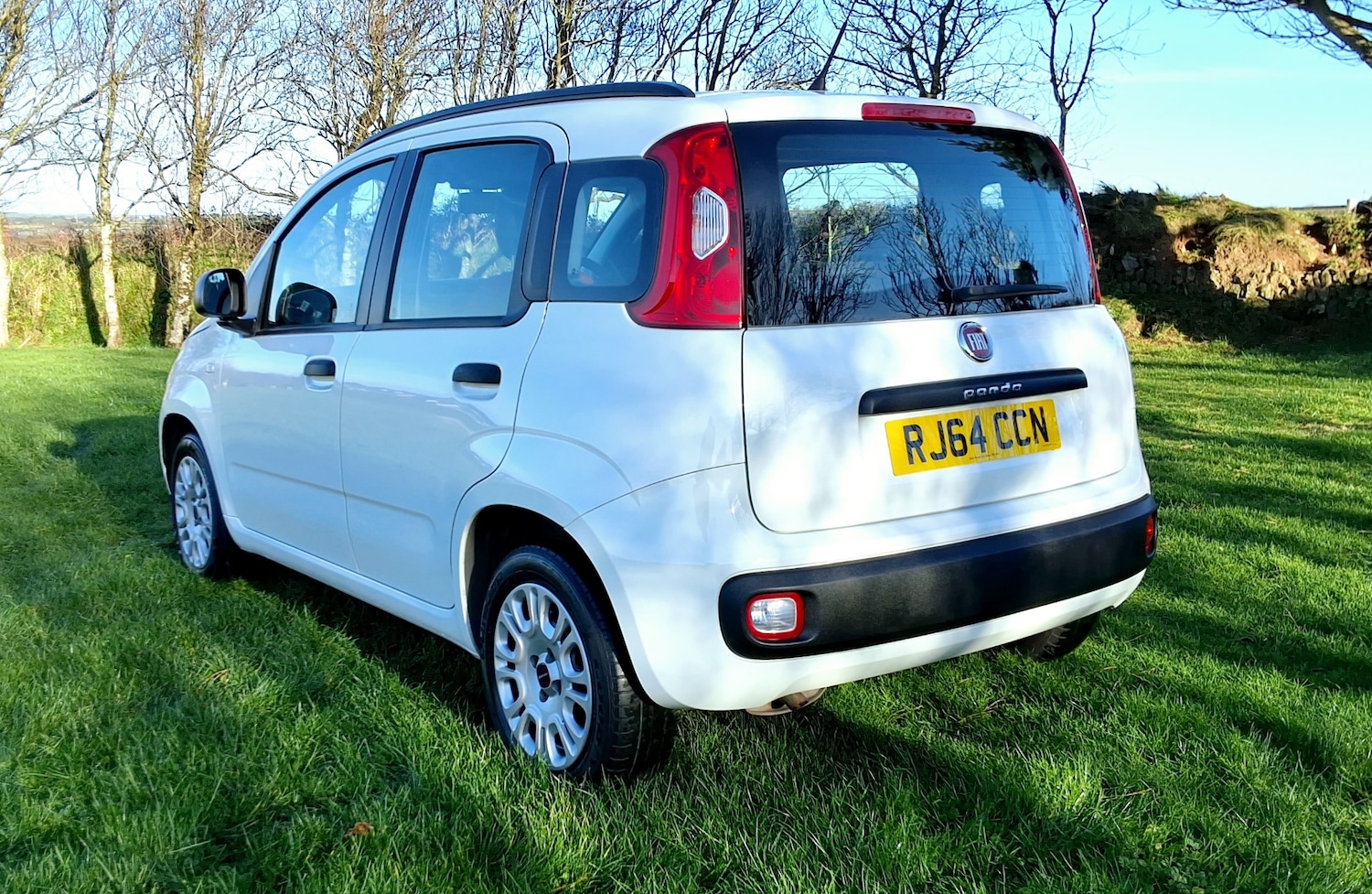 Used Fiat Panda 2014 for sale - 77079277: Photo 8