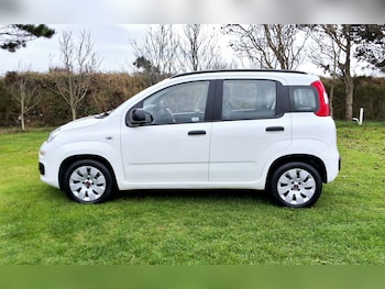 Used Fiat Panda 2019 for sale - 76273684: Photo