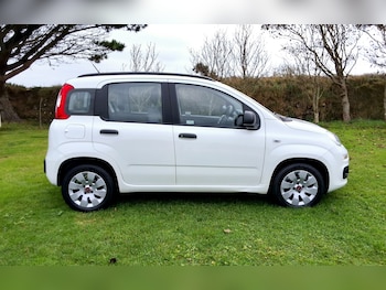 Used Fiat Panda 2019 for sale - 76273684: Photo