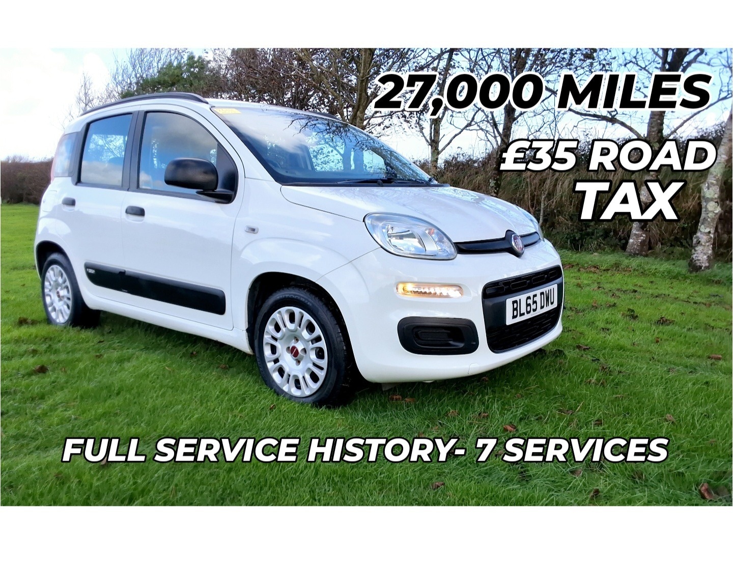 Used Fiat Panda 2015 for sale - 76363471: Photo 1