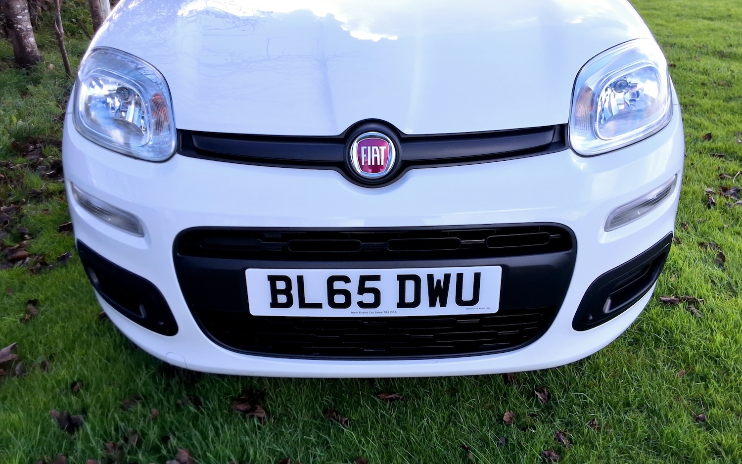 Used Fiat Panda 2015 for sale - 76363471: Photo 10