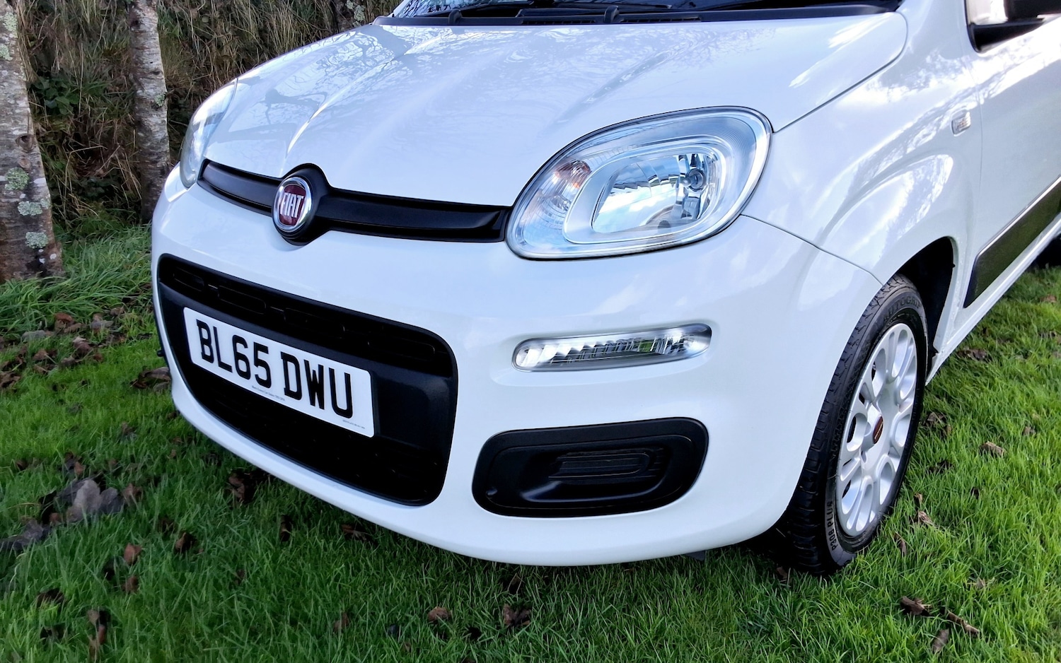 Used Fiat Panda 2015 for sale - 76363471: Photo 11