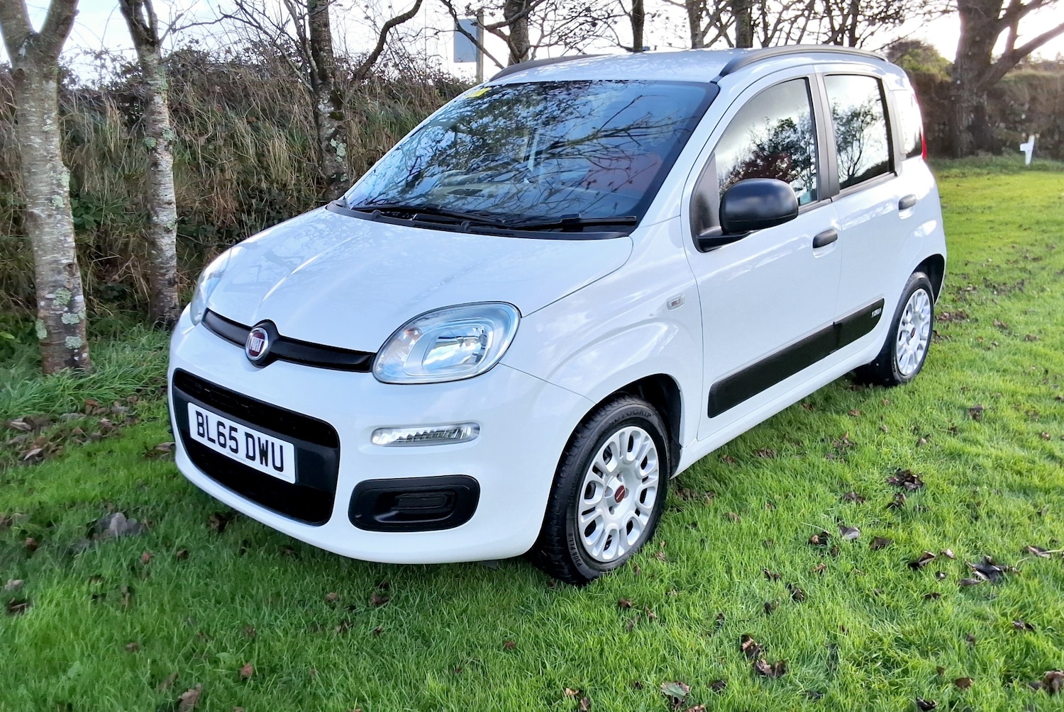 Used Fiat Panda 2015 for sale - 76363471: Photo 2
