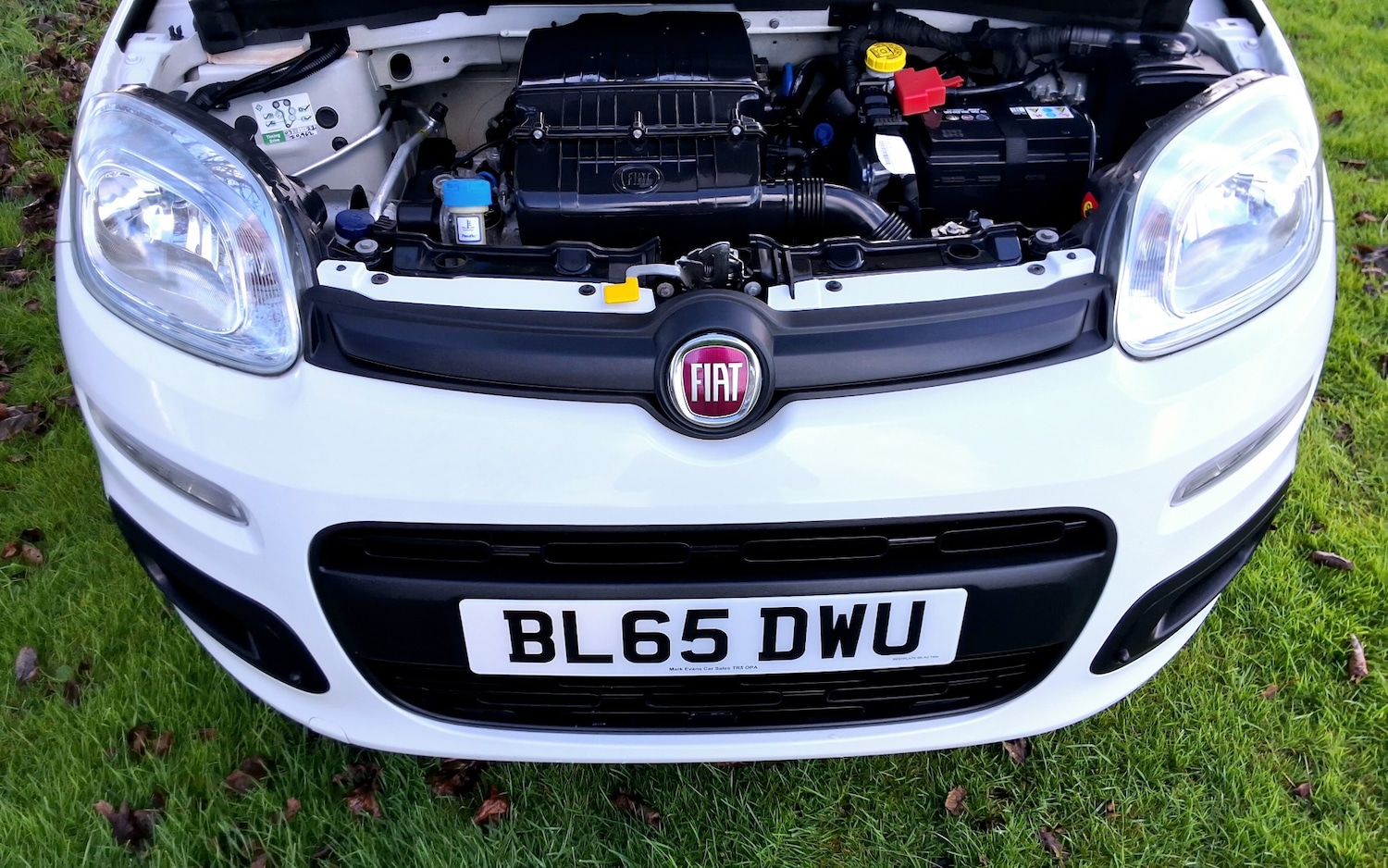 Used Fiat Panda 2015 for sale - 76363471: Photo 26