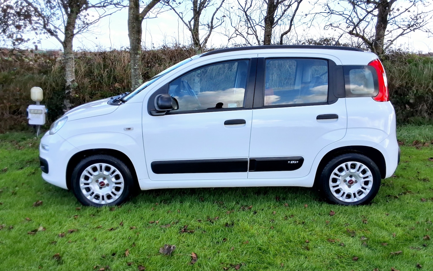 Used Fiat Panda 2015 for sale - 76363471: Photo 4