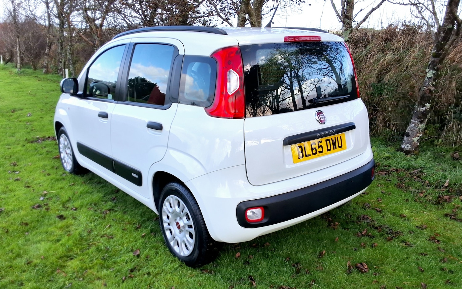 Used Fiat Panda 2015 for sale - 76363471: Photo 5