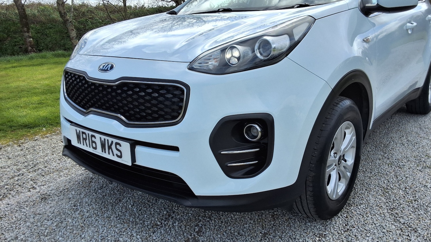 Used Kia Sportage 2016 for sale - 78031790: Photo 11